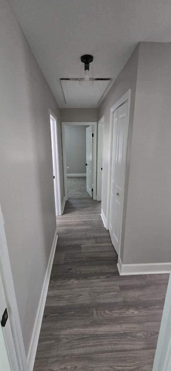 Hallway with interior doors and trim installation work completed by BAX